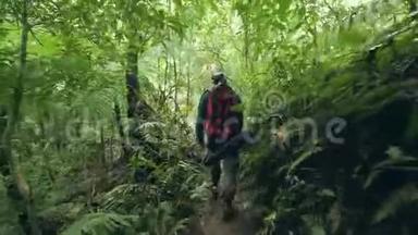 游客在热带雨林后景徒步旅行途中步行。 带背包旅行的人去野外丛林